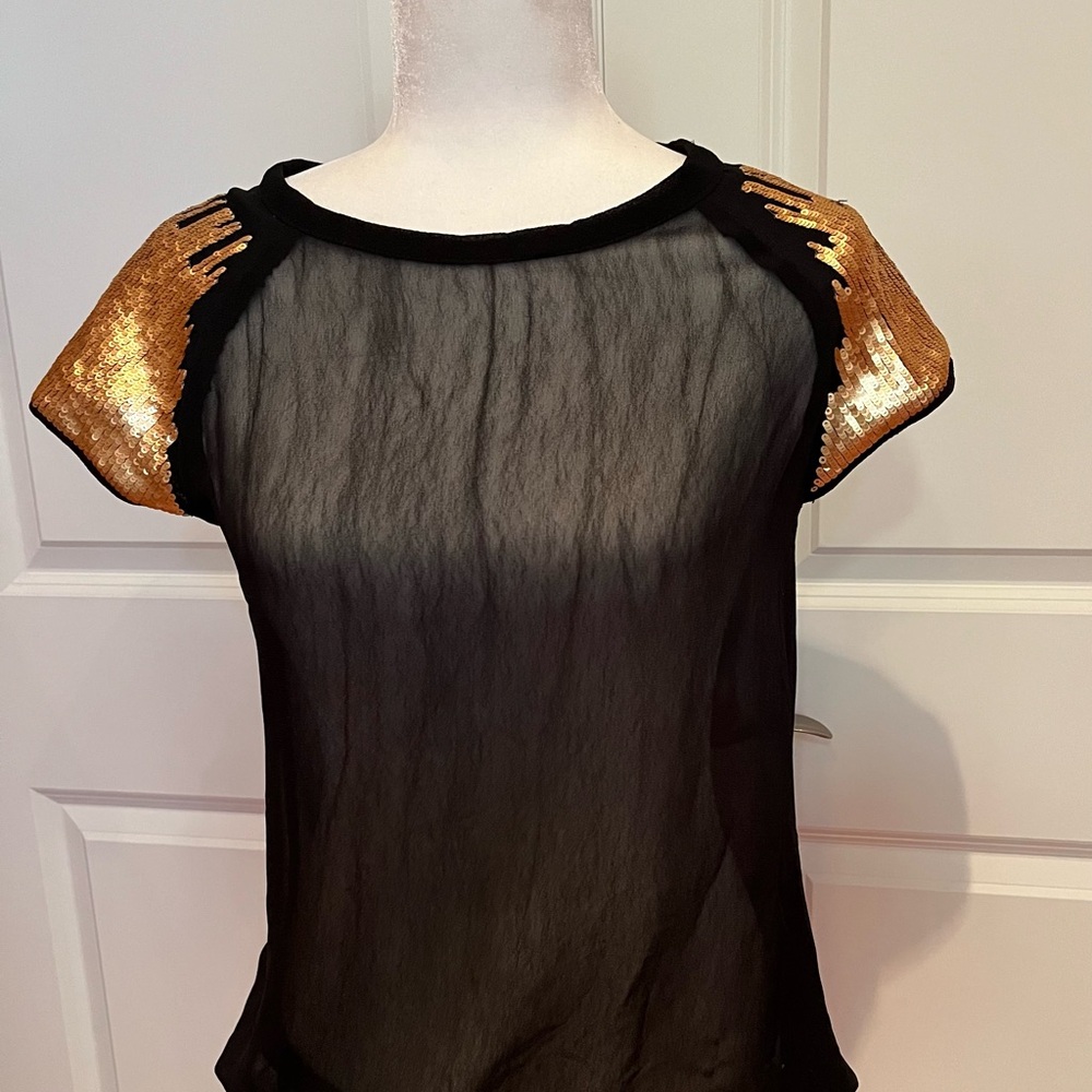 Black Sheer Top with Gold Sequin Sleeves